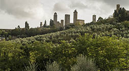 San Gimignano Towerws II